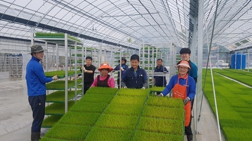 �� �ڵ�ȭ.jpeg