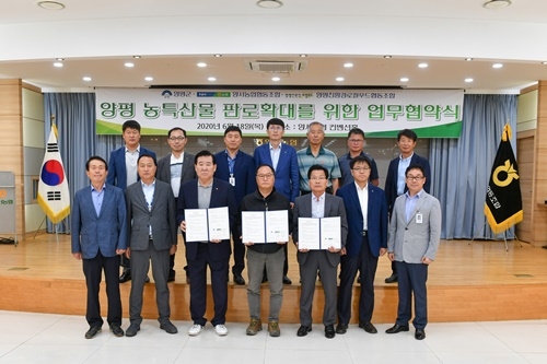 ����, �缭�����������3.JPG