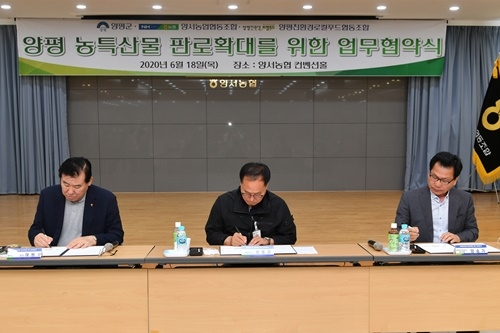 ����, �缭�����������2.JPG