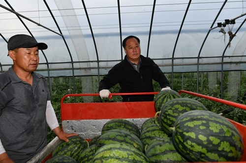 ������ �������.JPG