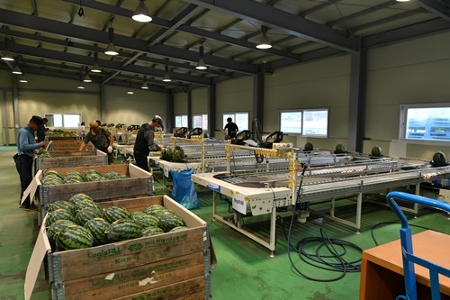 ������ �������3.JPG