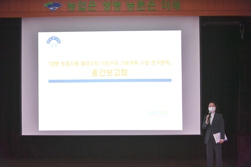 ����, �����ڿ�3.jpg