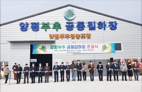 ����, �������.jpg