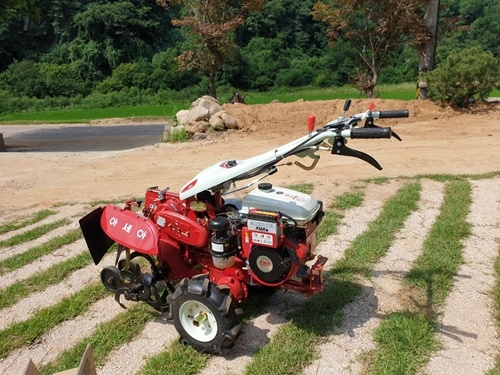 ����, ���¿����2.jpg