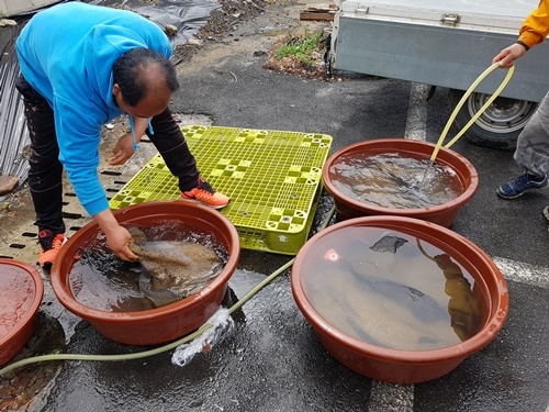 ����, ����������.jpg