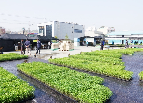 �������, 2021��-500.jpg