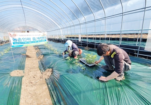 ���� û����� �����η��߰�����.jpg