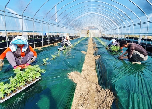 ���� û����� �����η��߰�����2.jpg