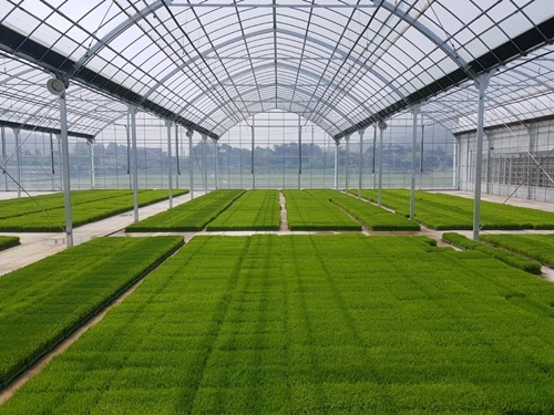 ����, ���� Ưȭ�۹�.jpg