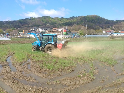 ���� ����� EM.jpg