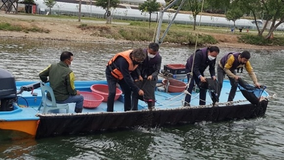 ����, �����ڿ�����.jpg