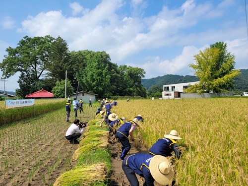 ����, �����ڿ�.jpg