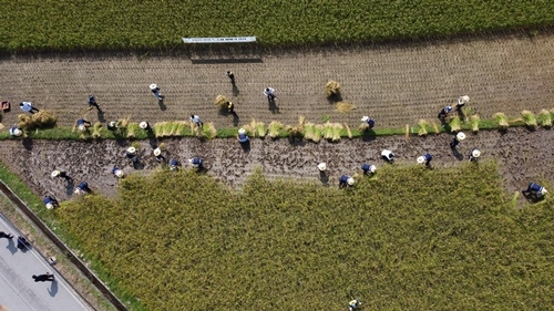 ����, �����ڿ�2.JPG