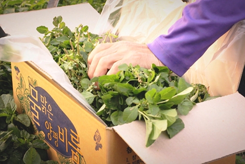 �������� ���� ����-500.jpg