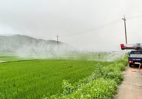 ������ ���.jpg