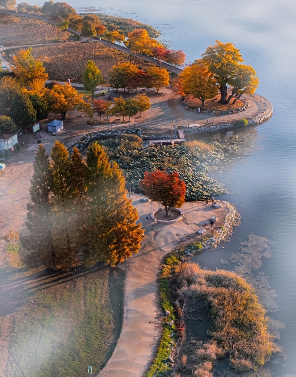 �ι��Ӹ� ������2.jpg