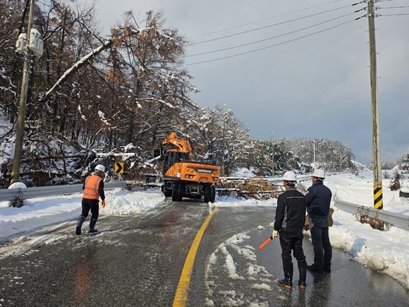 ����, ��������.jpg