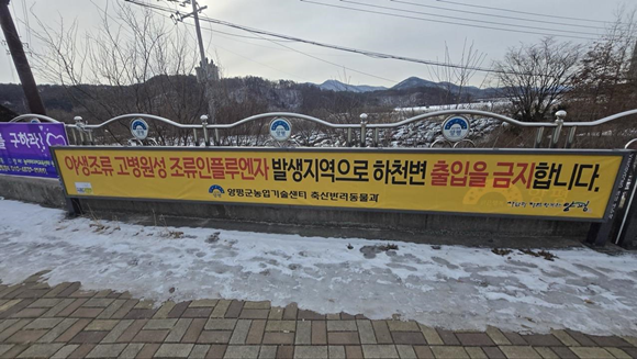 ����, ��������.png