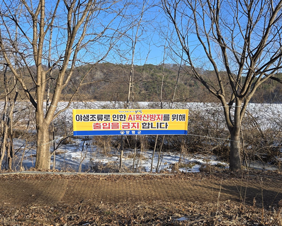 ����, ��������2.png