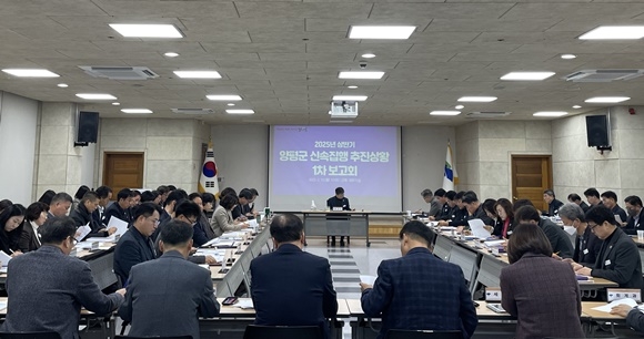 ����, 2025��.jpg