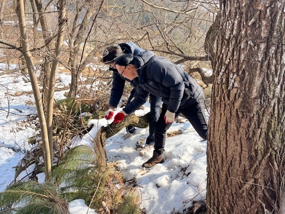 ����, �ù� ��2.jpg