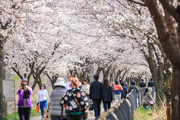 ��8ȸ ���괩����.jpg