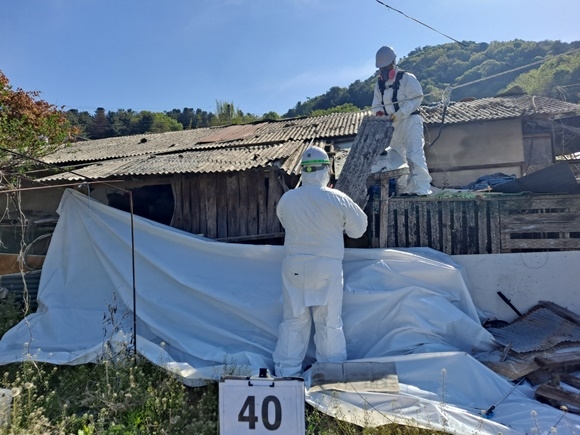 ����, ������Ʈ.jpg