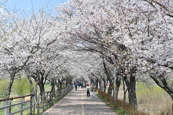 46�ֳ� ��������2.jpg