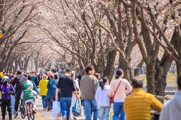 ��8ȸ ���괩��.jpg