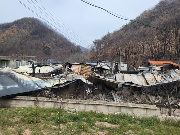 ���򱺻�����ȸ, ���2.png