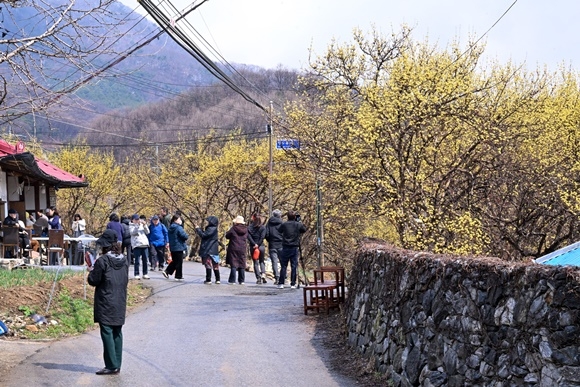 5.20250329���� ����� ����2.jpg