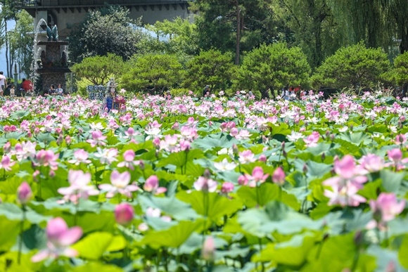 3. ���̿� ���� ����.jpg